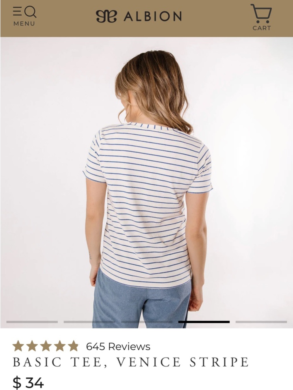 Albion Basic Venice Stripe Short-Sleeve Tee — Blue/White - Picture 2 of 5